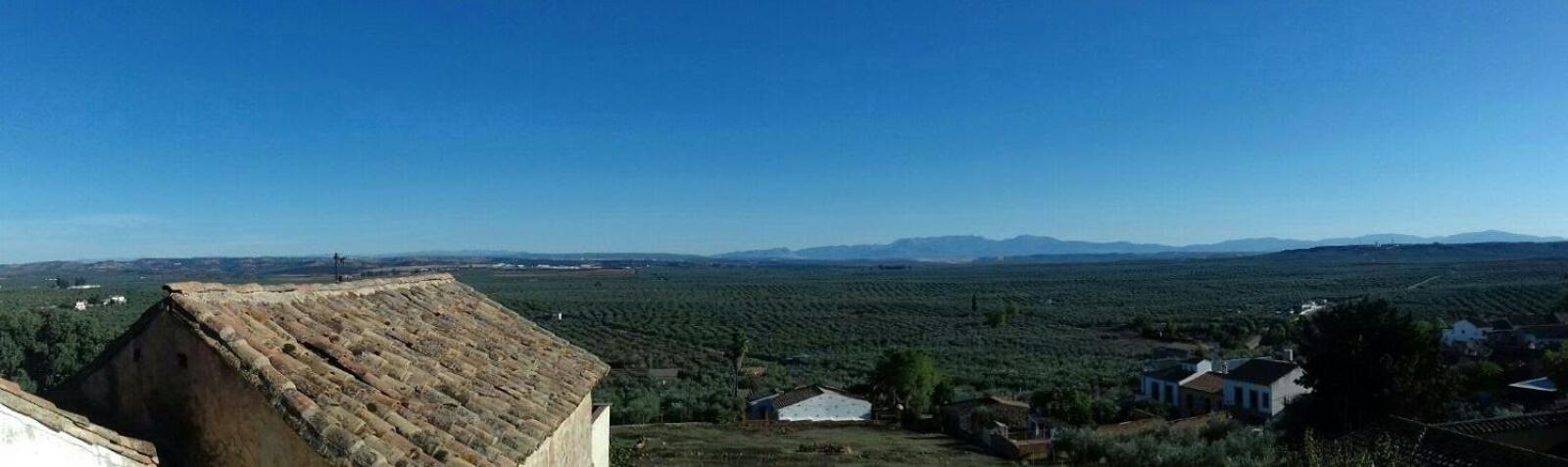 Casa Rural Verde Oliva Baños de la Encina Екстериор снимка